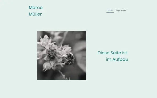 www.marcomueller.de