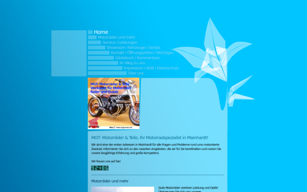 www.mgt-munz.de