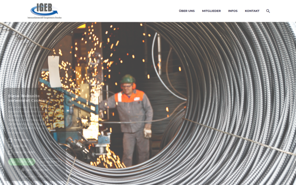 www.igeb.ch