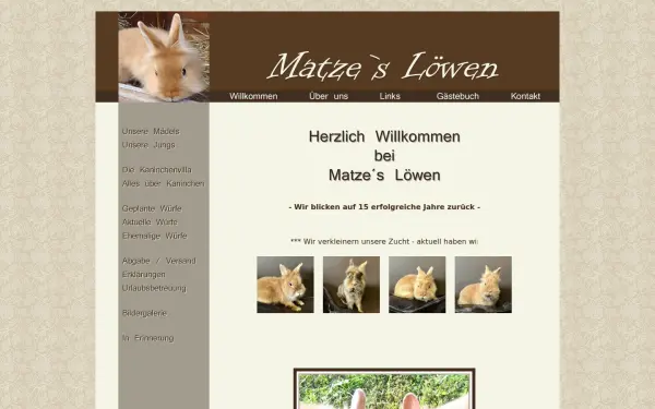 matzes-loewen.de