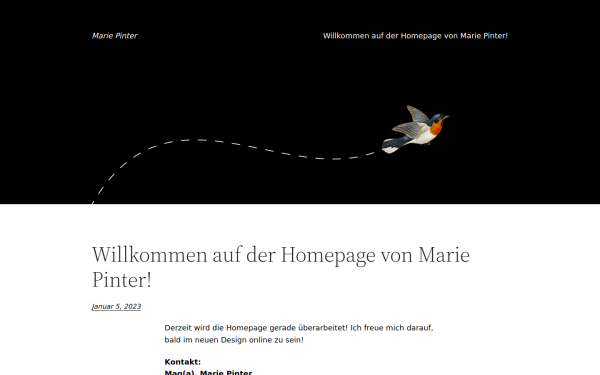 www.mariepinter.at
