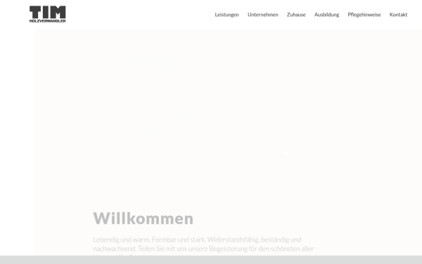 tim-fleischmann.de