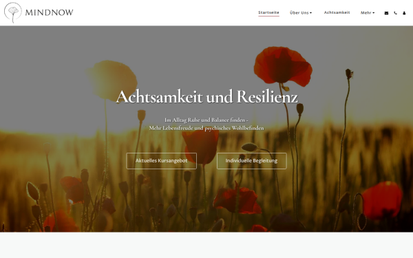 www.mindnow.at