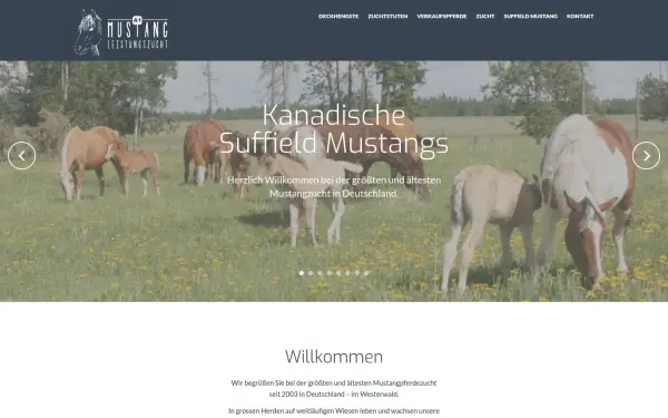 www.a1-suffield-mustang.com