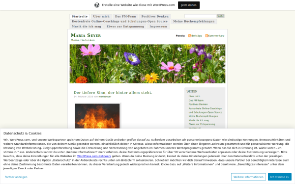 mariaseyer.wordpress.com