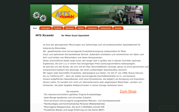 mts-ricambi.de