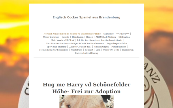 www.ikranz.de