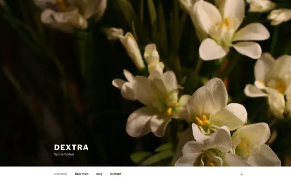 dextra.de