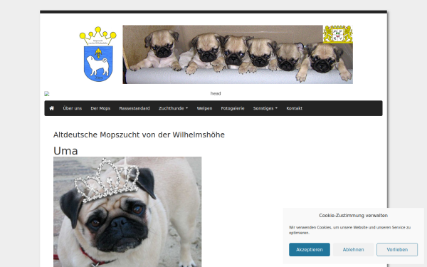 mopszucht-wilhelmshoehe.de