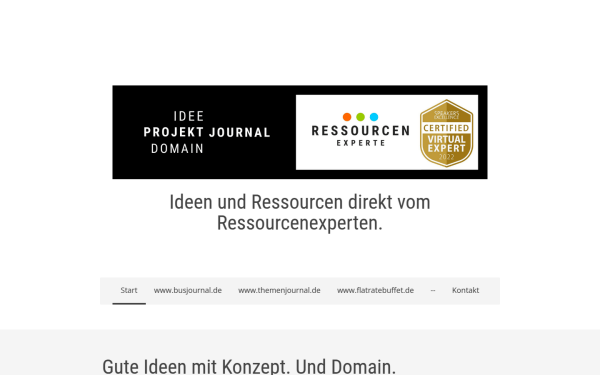www.projektjournal.de