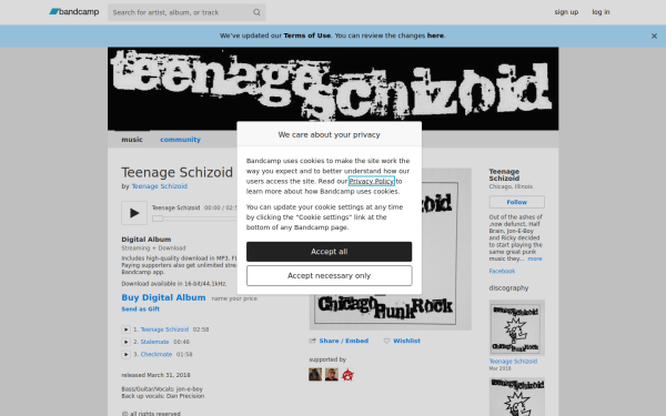teenageschizoid.bandcamp.com