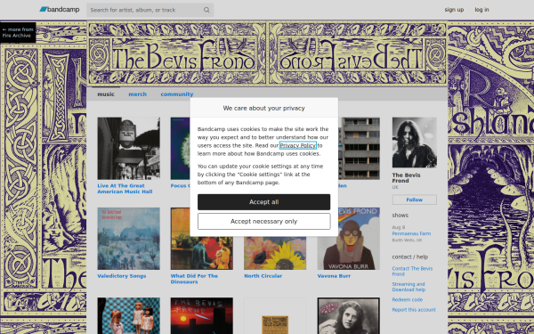 bevisfrondmusic.bandcamp.com