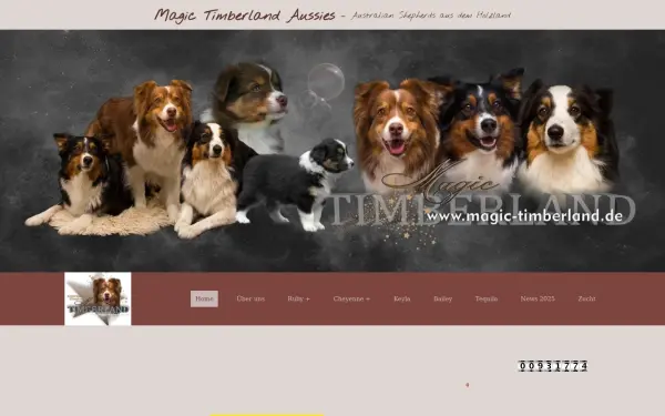magic-timberland.de