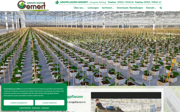www.gernert-jungpflanzen.de
