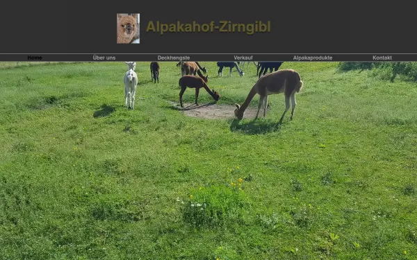 www.alpaka-zirngibl.de