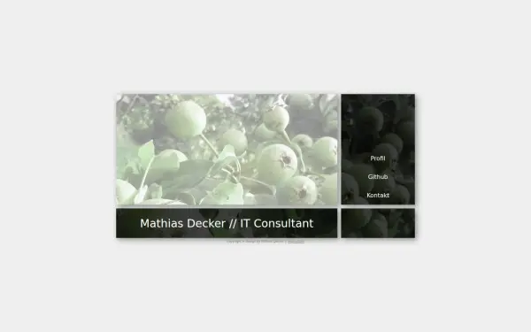 mathiasdecker.de