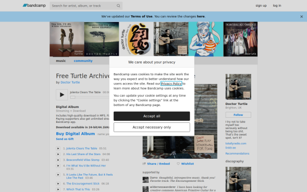 doctorturtle.bandcamp.com