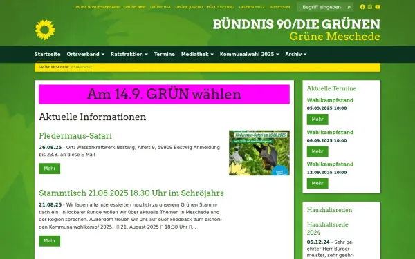 gruene-meschede.de
