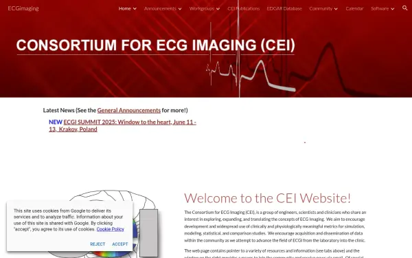 www.ecg-imaging.org