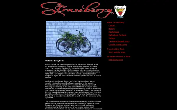 strawberrybicycle.com