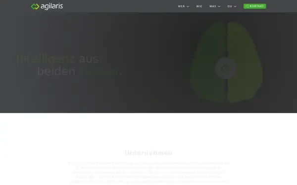 www.agilaris.de