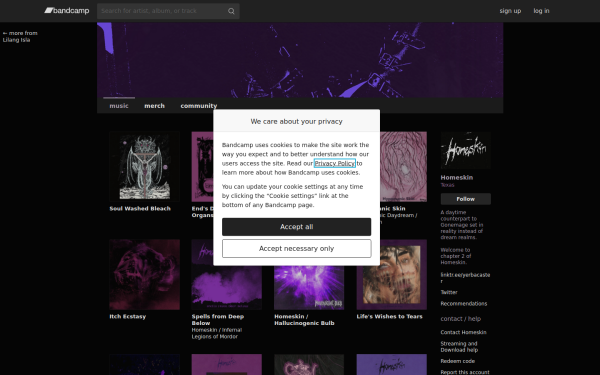homeskin.bandcamp.com