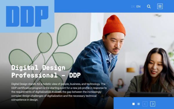 ddp.ireb.org