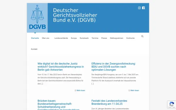 dgvb.de