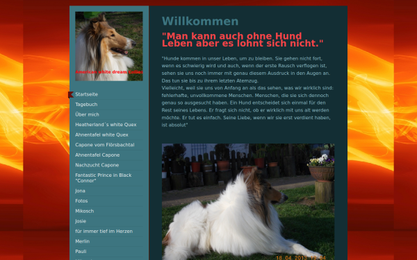 www.american-white-dream-collies.de