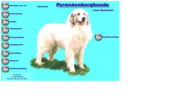 pyrenaeenberghunde.de