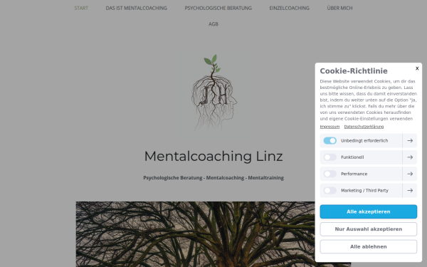 www.mentalcoachinglinz.at