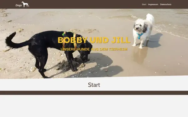 goldelfe.de