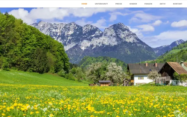 www.anfanglehen.de