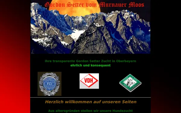 gordon-setter-vom-murnauer-moos.de