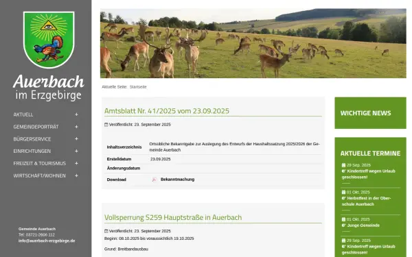 www.auerbach-erzgebirge.de