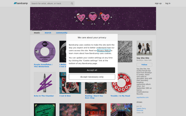 saysheshe.bandcamp.com