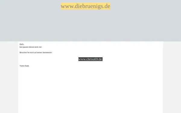 diebruenigs.de
