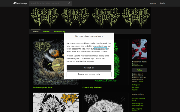 bacterialhusk.bandcamp.com