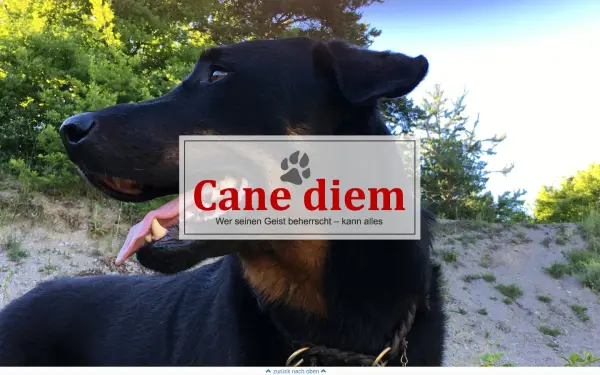 cane-diem.de