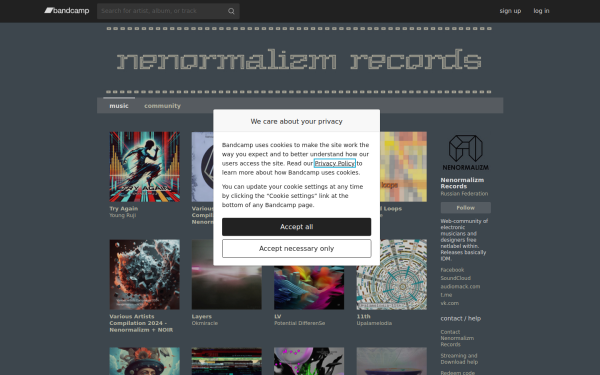 nenormalizm.bandcamp.com