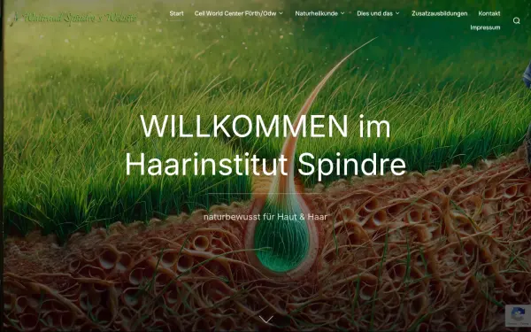 www.haarinstitut-spindre.de