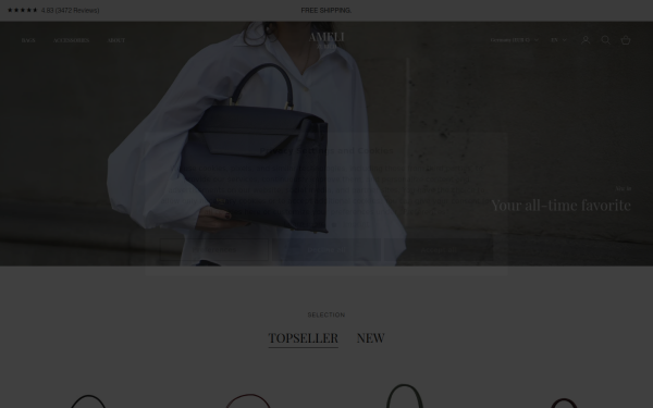 ameli-zurich.com