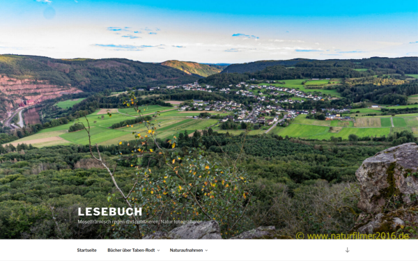 towener-lesebuch.de