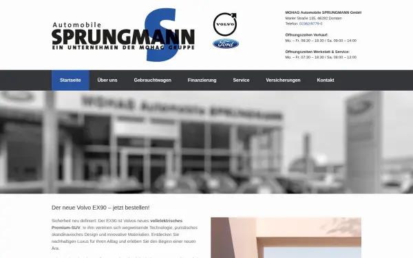www.automobile-sprungmann.de