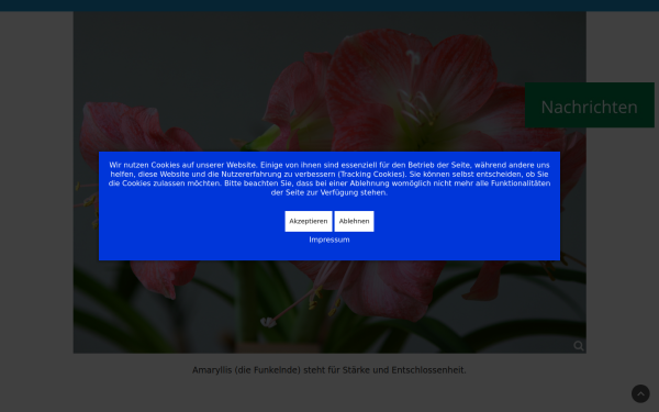 www.mednet.de