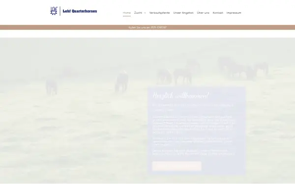 www.lohf-quarterhorses.de