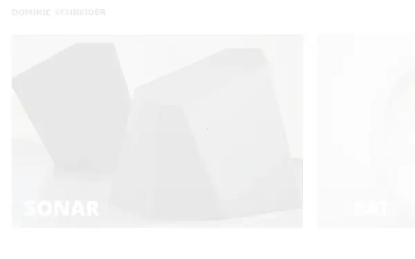 www.dominic-schneider.de