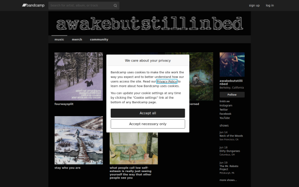 awakebutstillinbed.bandcamp.com
