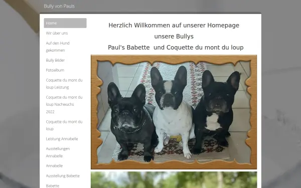 www.baden-bullys.de