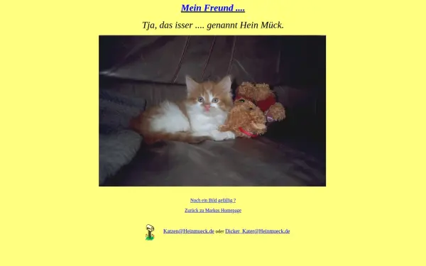 heinmueck.de